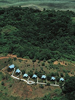 Carolines cabins on a ridge